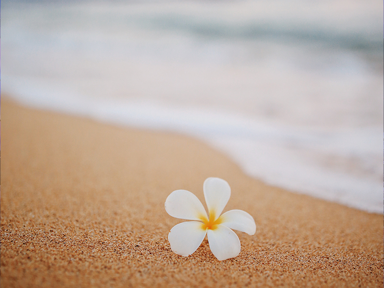 Hawaii Palliative Care Benefit