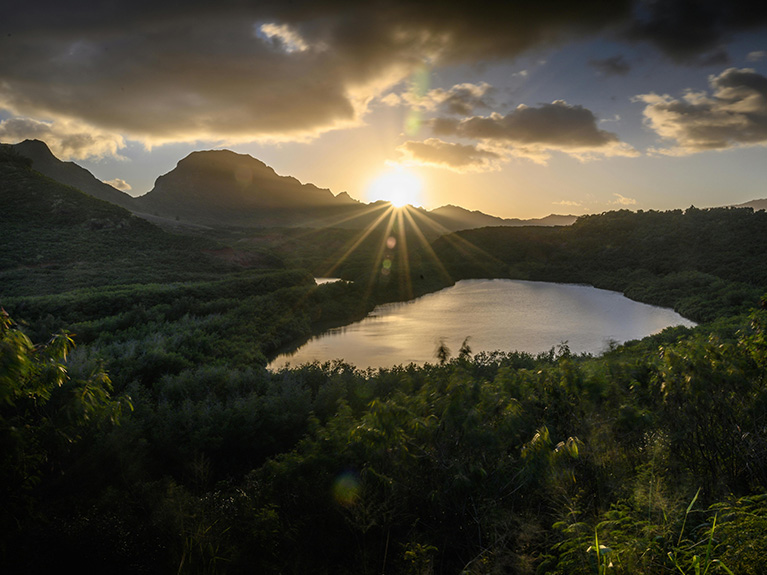 Hawaii Palliative care